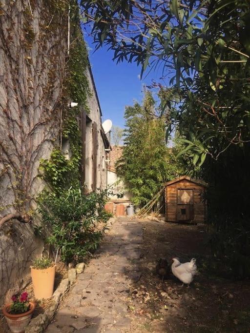 La Campagne Dans La Ville Narbonne Exterior foto
